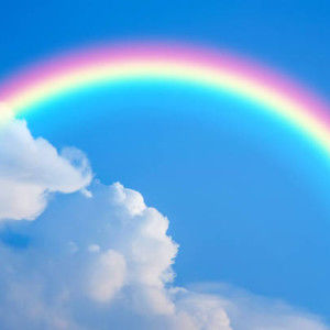 Meet your Posher, Ansa